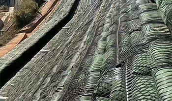 Uniaxial geogrid for slope